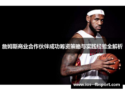 詹姆斯商业合作伙伴成功筹资策略与实践经验全解析